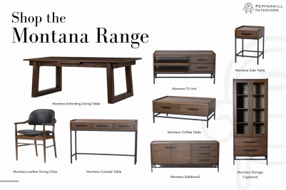 montana-range-graphic